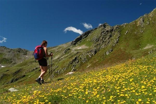 Pejo Appartamenti Pegolotti Cogolo Exterior foto